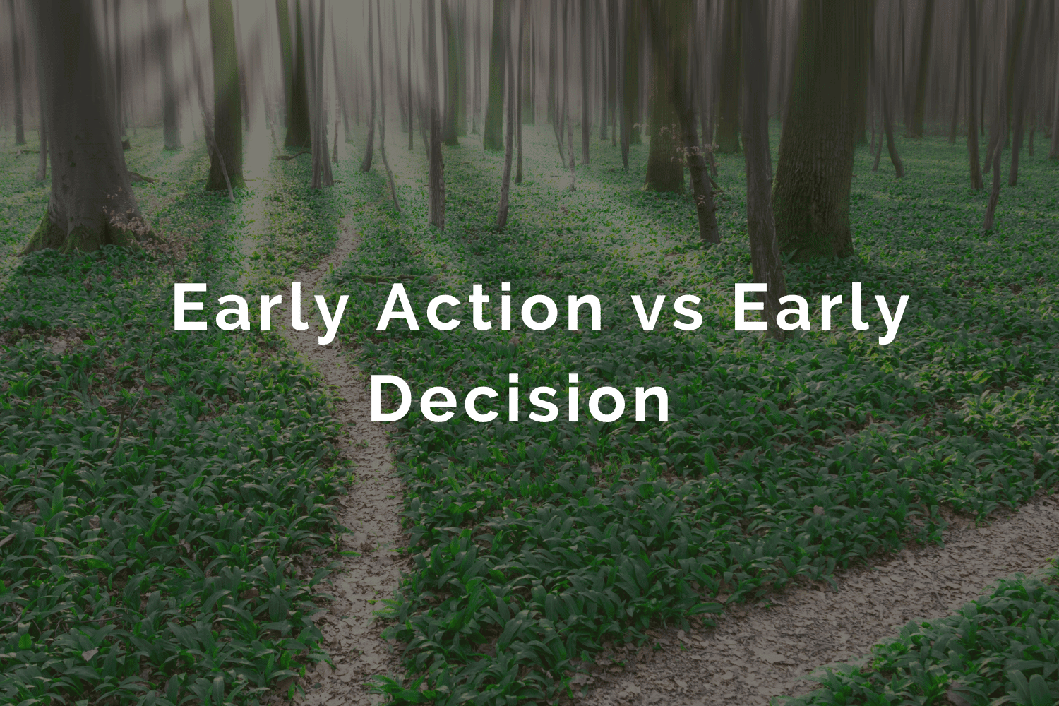 early-action-vs-early-decision-what-is-the-difference